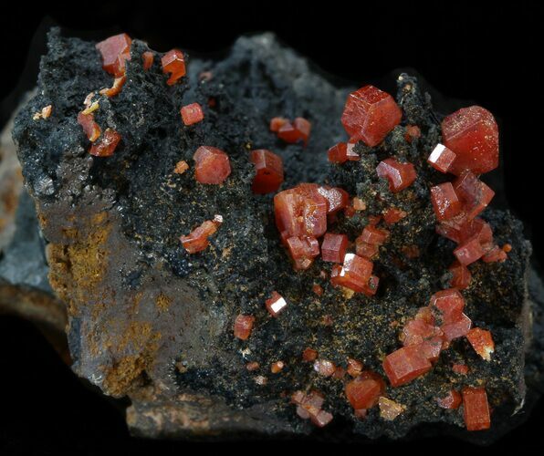 Red Vanadinite Crystals on Manganese Oxide - Morocco #38511